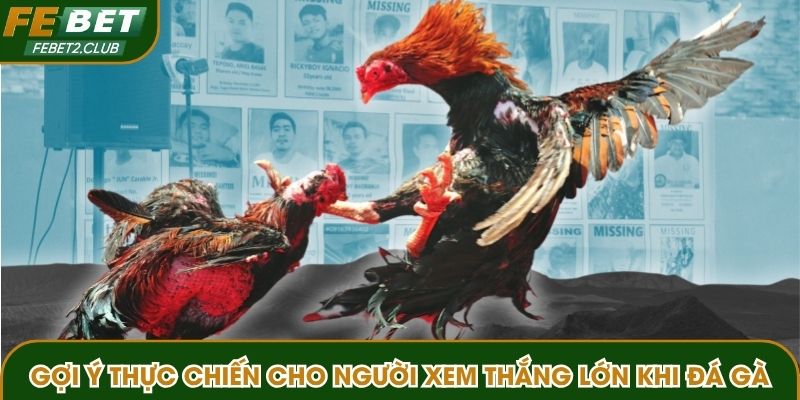 Gợi ý thực chiến cho người xem thắng lớn khi cược đá gà